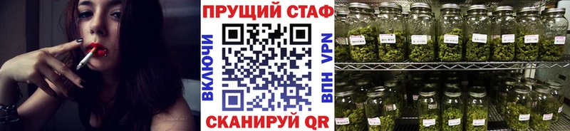 Какие есть наркотики Светлогорск блэк спрут tor ЭКСТАЗИ ГАШИШ Меф мяу мяу Каннабис