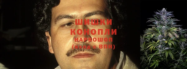 apvp Осинники