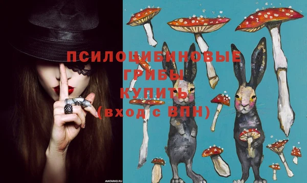 мдпв Елизово