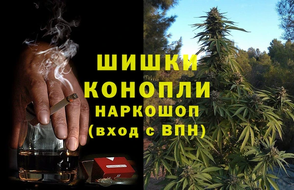 мдпв Елизово